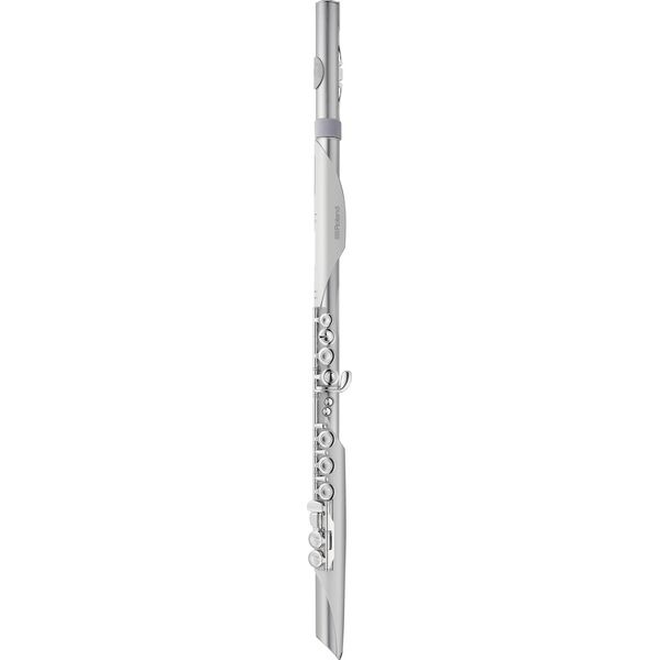Roland Aerophone AE-Brisa