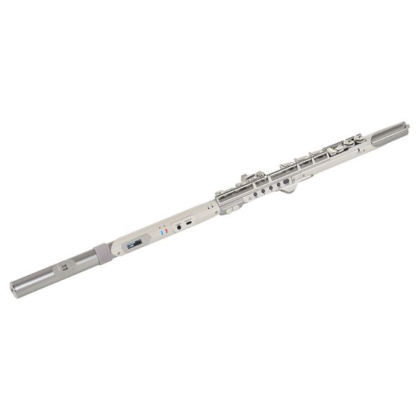 Roland Aerophone AE-Brisa