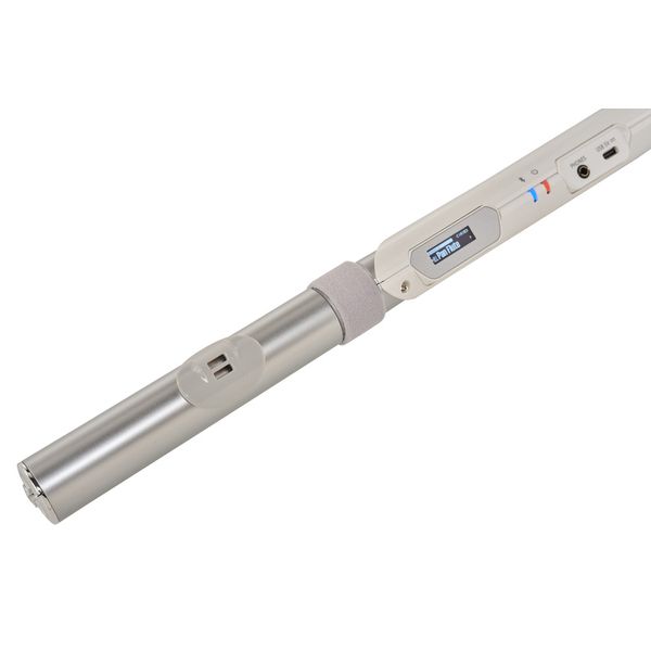 Roland Aerophone AE-Brisa