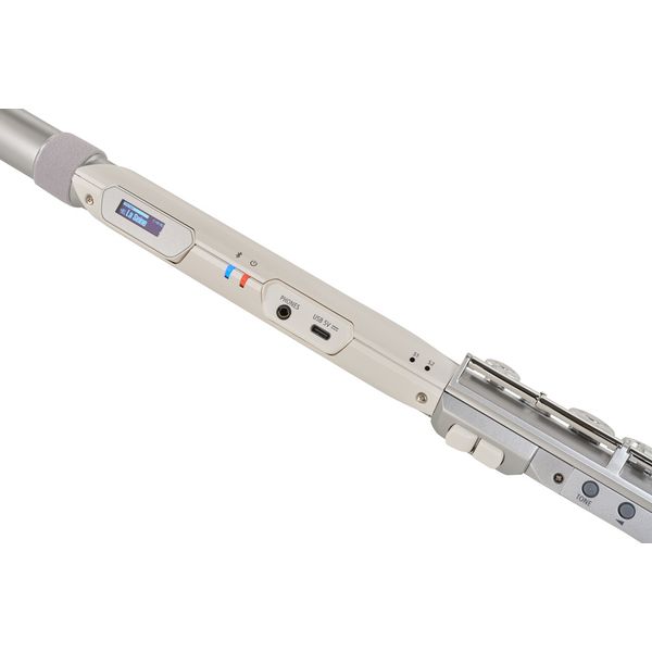 Roland Aerophone AE-Brisa