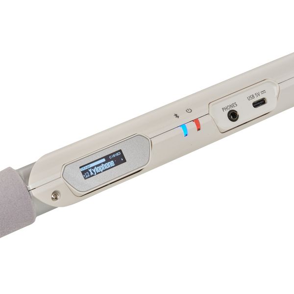 Roland Aerophone AE-Brisa