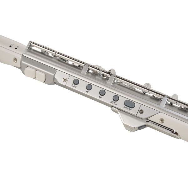 Roland Aerophone AE-Brisa