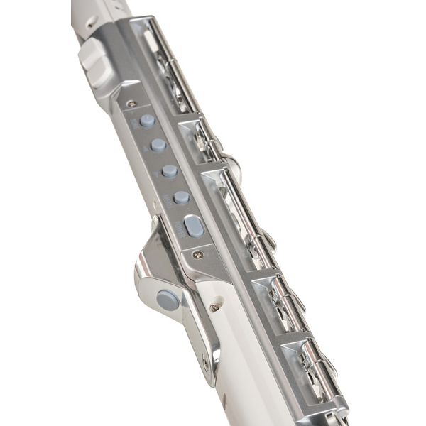 Roland Aerophone AE-Brisa