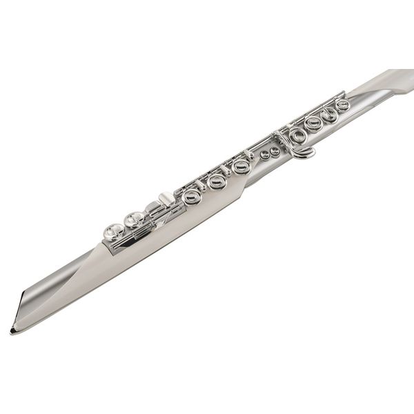 Roland Aerophone AE-Brisa