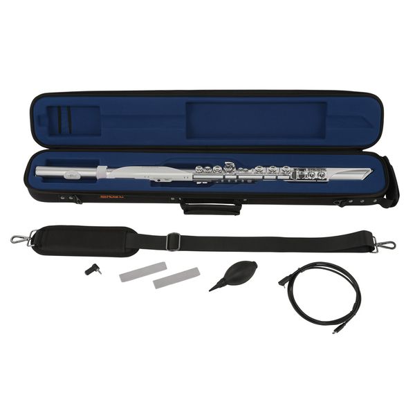 Roland Aerophone AE-Brisa