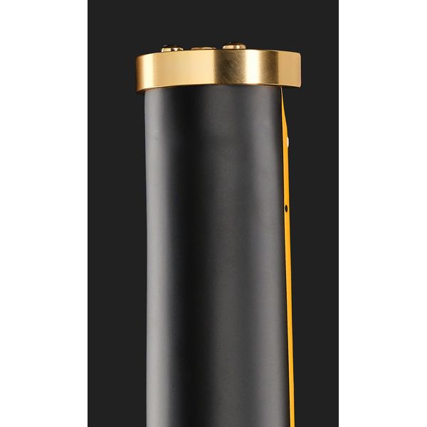 Traveler Guitar LTD EC-1 Vintage BK