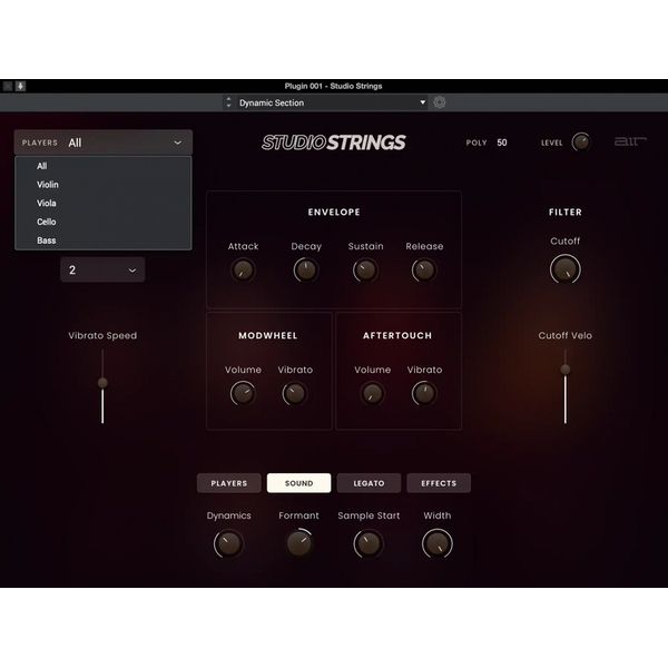 AIR Music Technology Studio Strings
