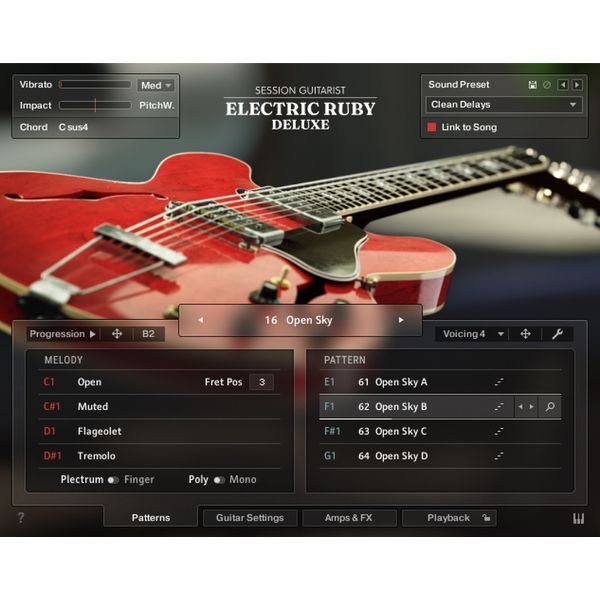 Native Instruments SG Electric Ruby Deluxe