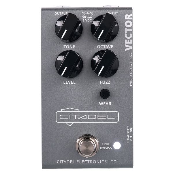 Citadel Vector