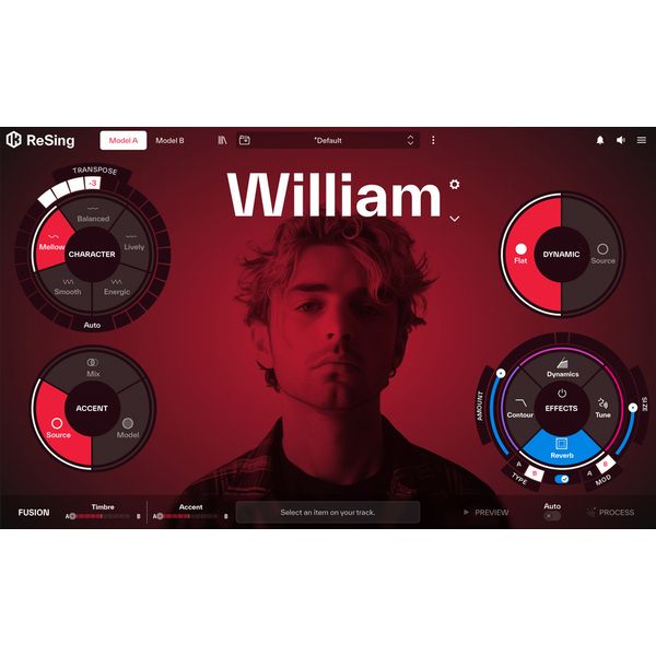 IK Multimedia ReSing MAX