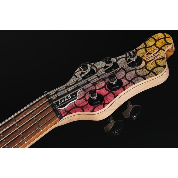 Mayones Guitars Cali 5 Custom Rainbow