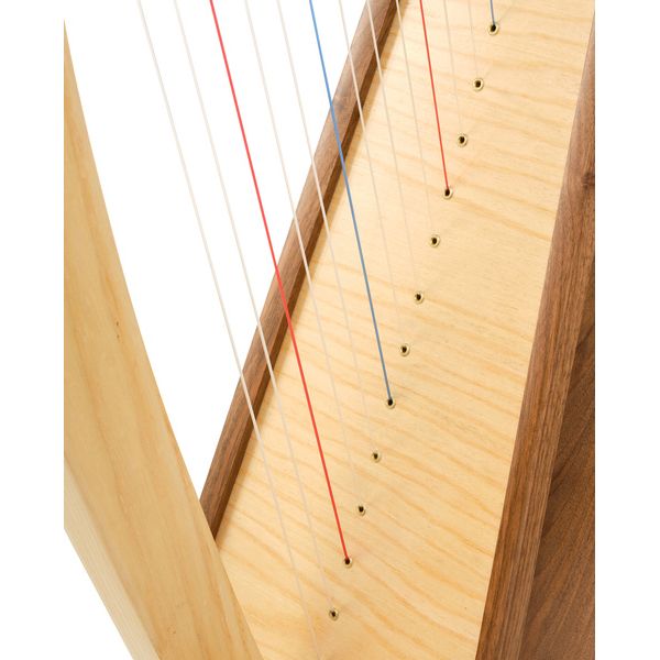 Roth & Junius Student Pro Lever Harp 22 A/WN