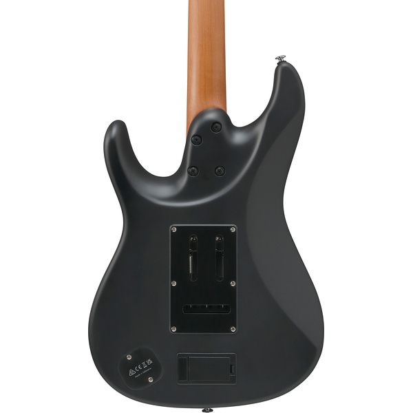 Ibanez BER10 Bernth Signature BK