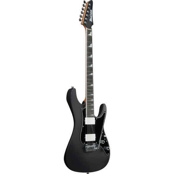 Ibanez BER10 Bernth Signature BK