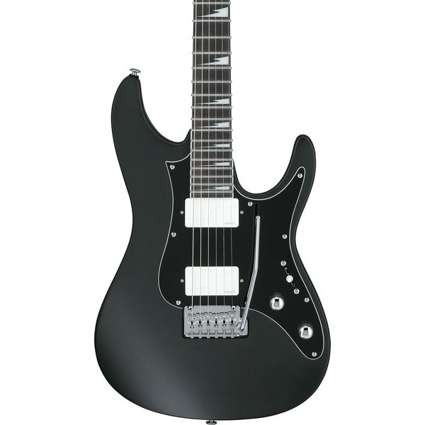Ibanez BER10 Bernth Signature BK
