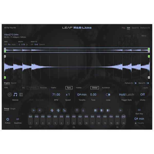 Native Instruments Leap Expansion RnB Licks