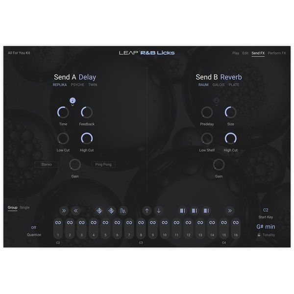 Native Instruments Leap Expansion RnB Licks