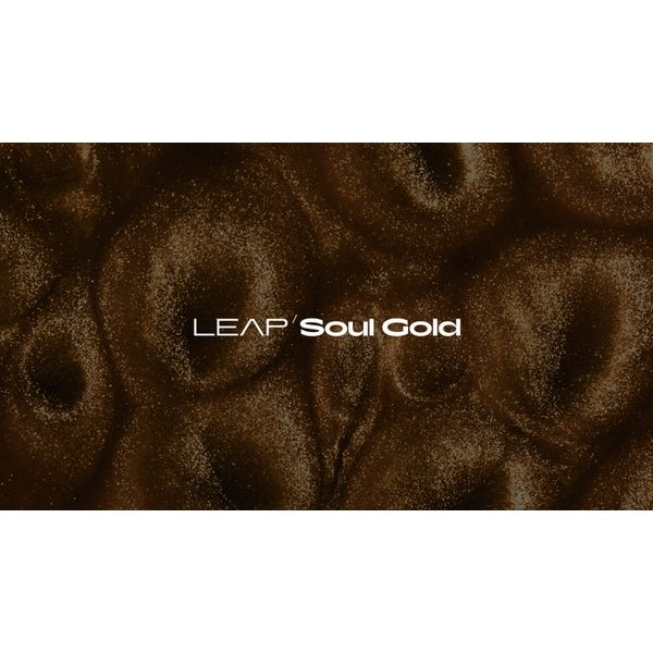Native Instruments Leap Expansion Soul Gold