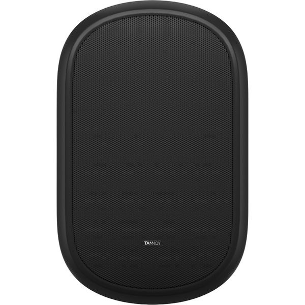 Tannoy Dvs 401