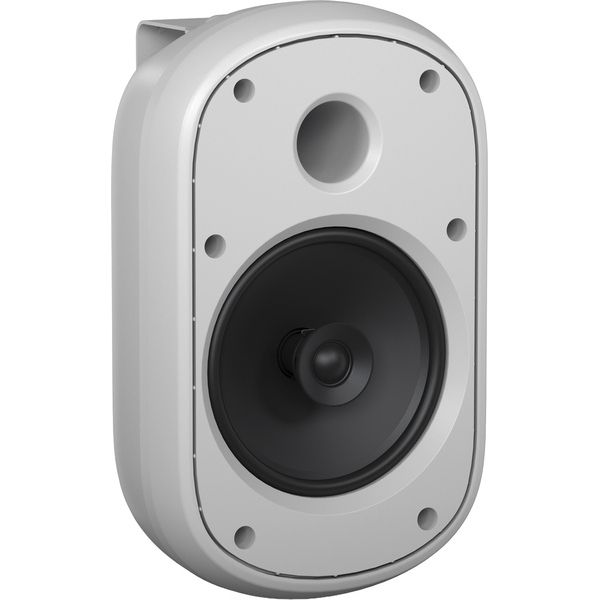 Tannoy Dvs 601-WH