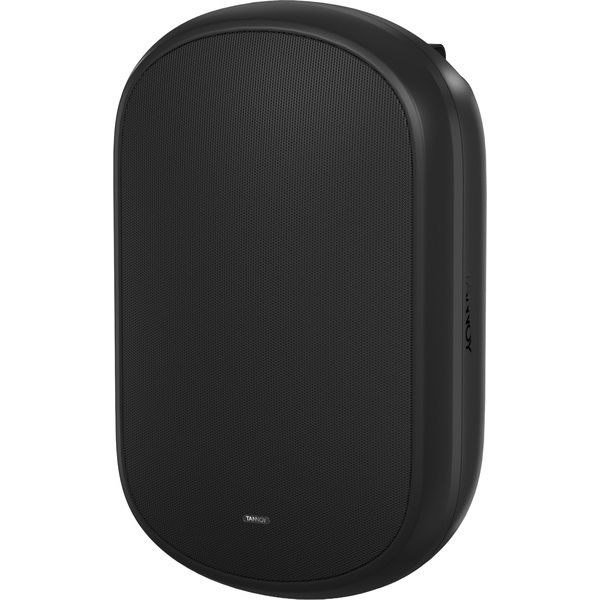 Tannoy Dvs 801