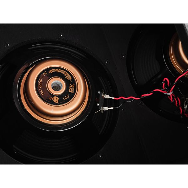 DV Mark DV Gold 212 V