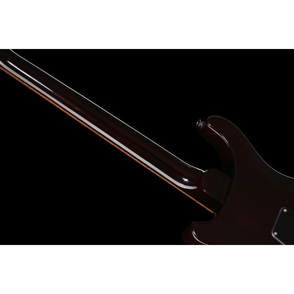 PRS SE DGT Standard Moons MTS