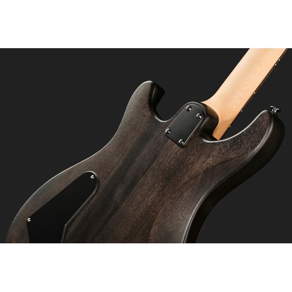 PRS SE CE24 Standard Stoptail SC