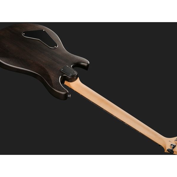 PRS SE CE24 Standard Stoptail SC