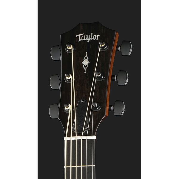 Taylor 324ce Baritone-6-LTD