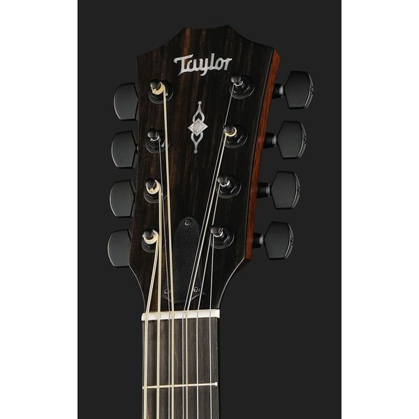 Taylor 324ce Baritone-8-LTD