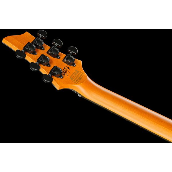 Schecter C-1 Jerry Horton 25th WH