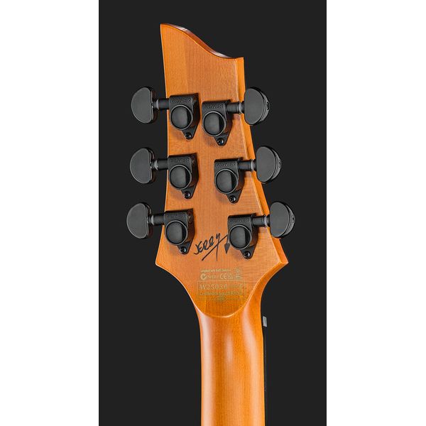 Schecter C-1 Jerry Horton 25th WH