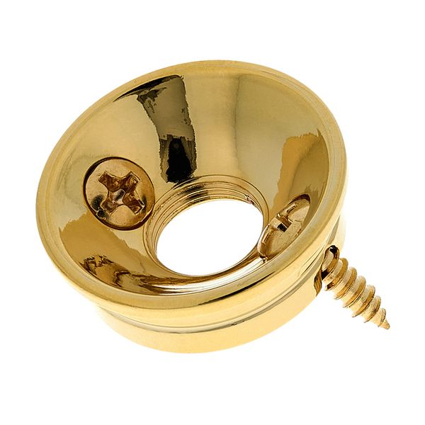 Allparts Retrofit Jackplate T-Style G