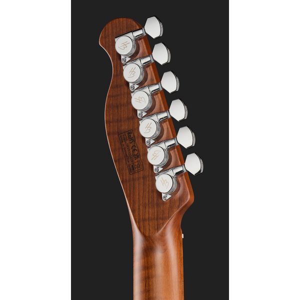 Harley Benton Fusion-T II HH MN SGR