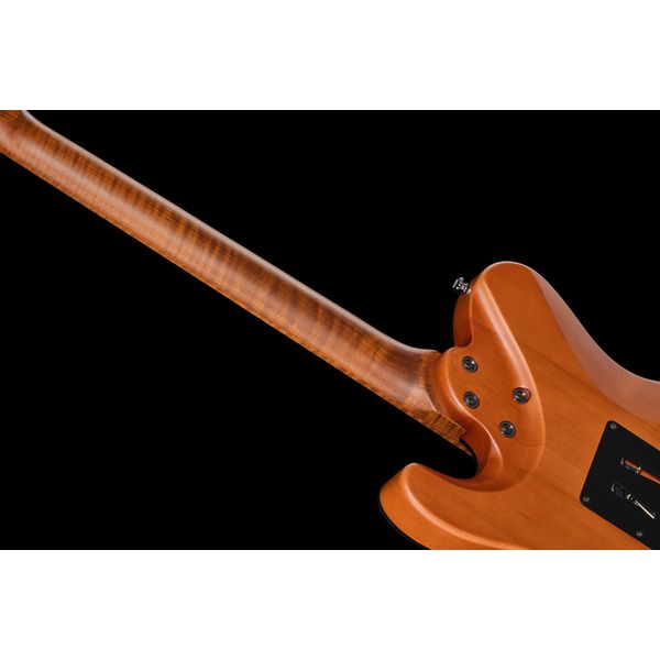 Harley Benton Fusion-T II HH MN SGR