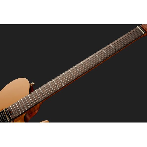 Harley Benton Fusion-T II HH RW SGD