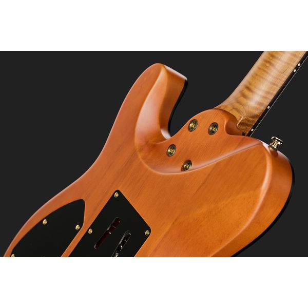 Harley Benton Fusion-T II HH RW SGD