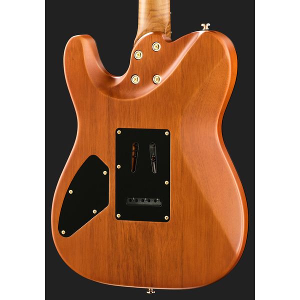 Harley Benton Fusion-T II HH RW SGD