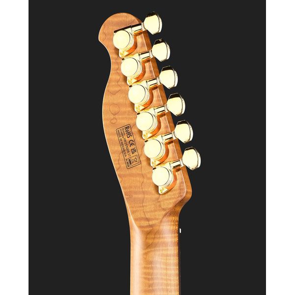 Harley Benton Fusion-T II HH RW SGD