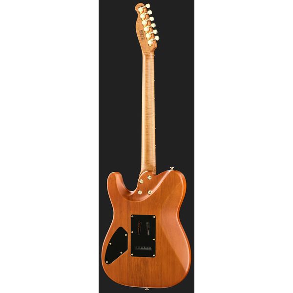 Harley Benton Fusion-T II HH RW SGD