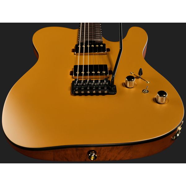 Harley Benton Fusion-T II HH RW SGD