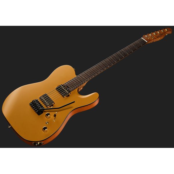 Harley Benton Fusion-T II HH RW SGD