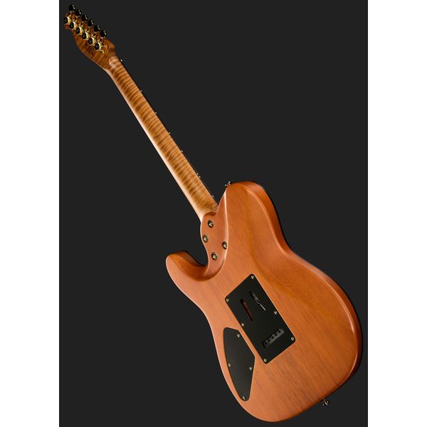 Harley Benton Fusion-T II HH RW SGD
