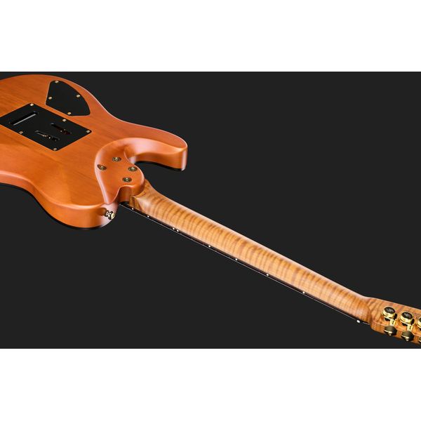 Harley Benton Fusion-T II HH RW SGD