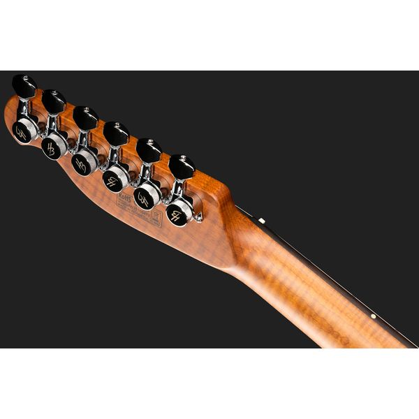 Harley Benton Fusion-T II HH RW QRB