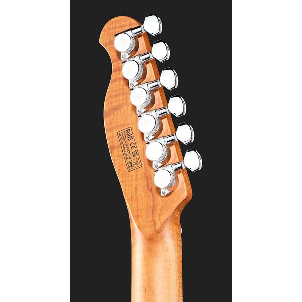 Harley Benton Fusion-T II HH MN HT SGR