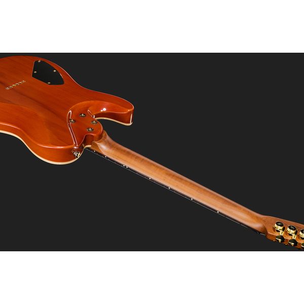 Harley Benton Fusion-T II HH RW HT PM