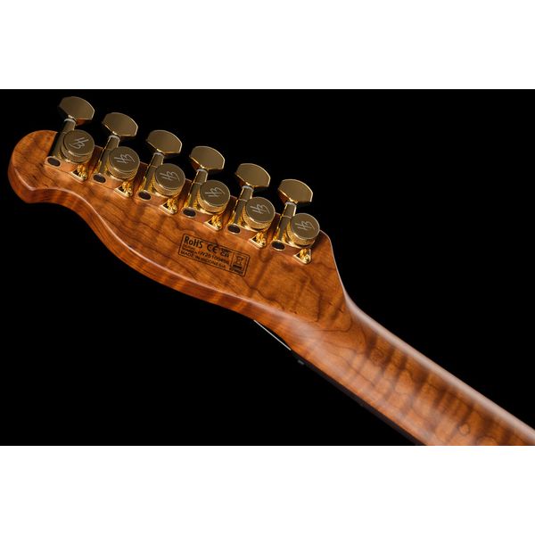 Harley Benton Fusion-T II HH RW HT FBB