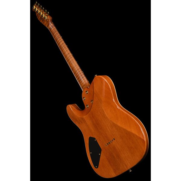 Harley Benton Fusion-T II HH RW HT FBB